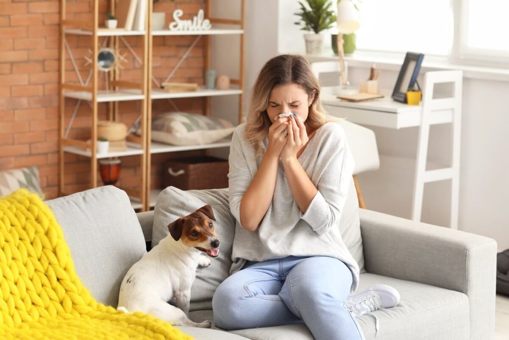 symptômes allergie aux animaux